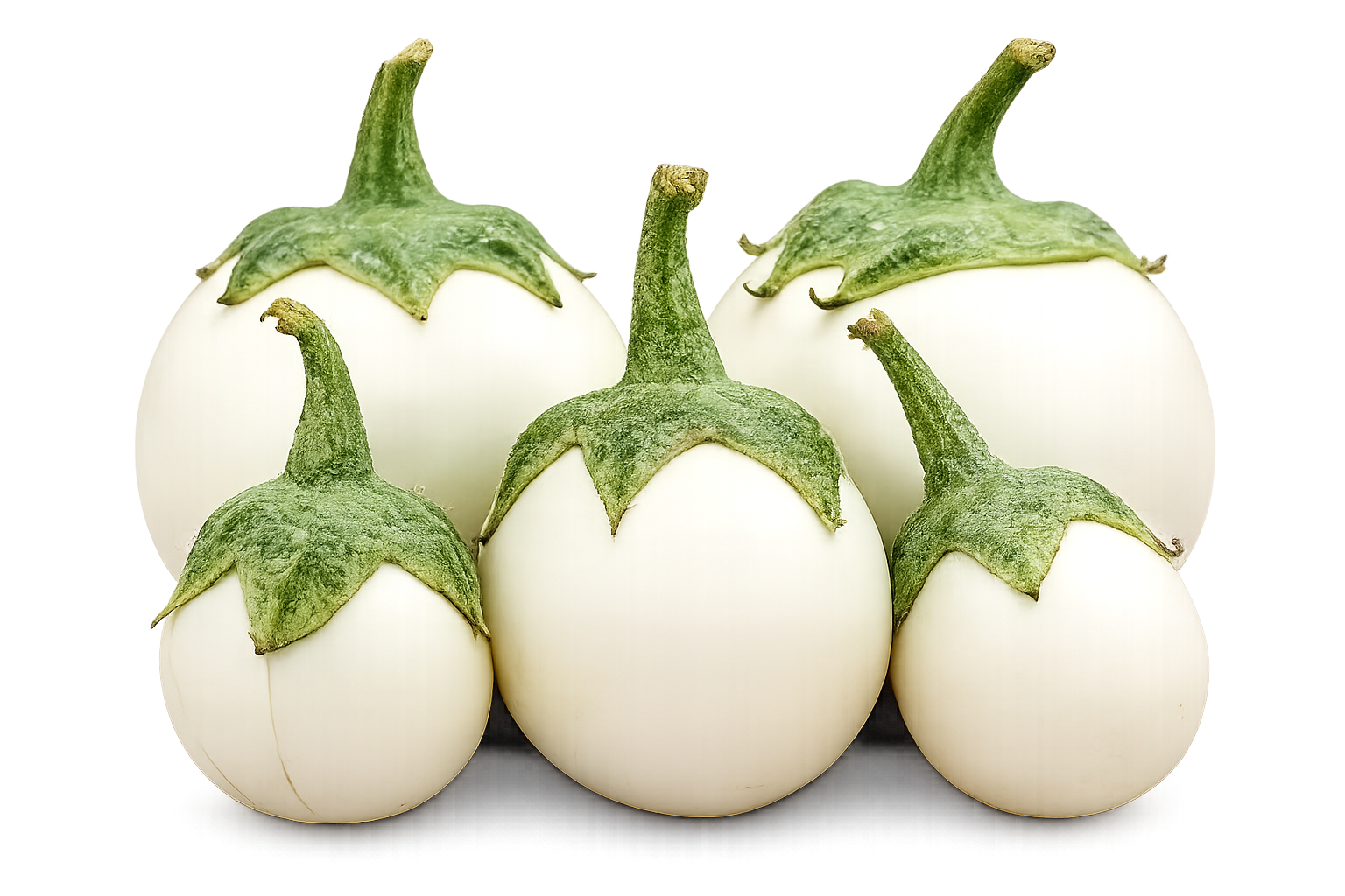 White Eggplant